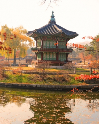 Pemandangan Emas! 10 Lokasi Musim Luruh di Korea Selatan Yang Indah & Menakjubkan!