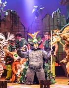 Panggil Saja Dunkin’