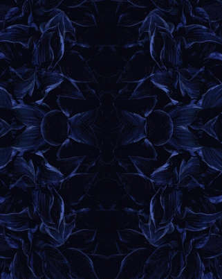 8 Sofa Baldu Memberi Statement Ruang