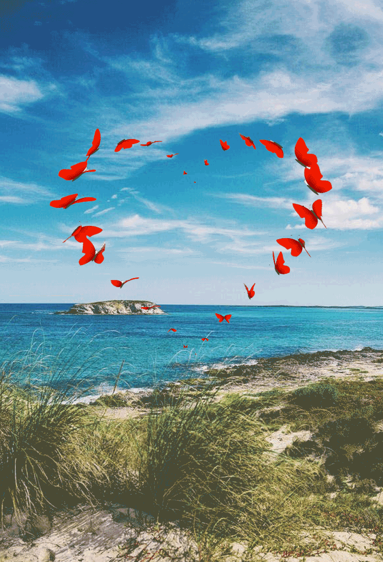 Percutian Kelamin Paling Sempurna Sempena Bulan Cinta