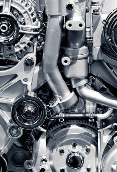 Zalia Basics Berikhtiar Menjaga Alam, Menghasilkan ‘Earth’