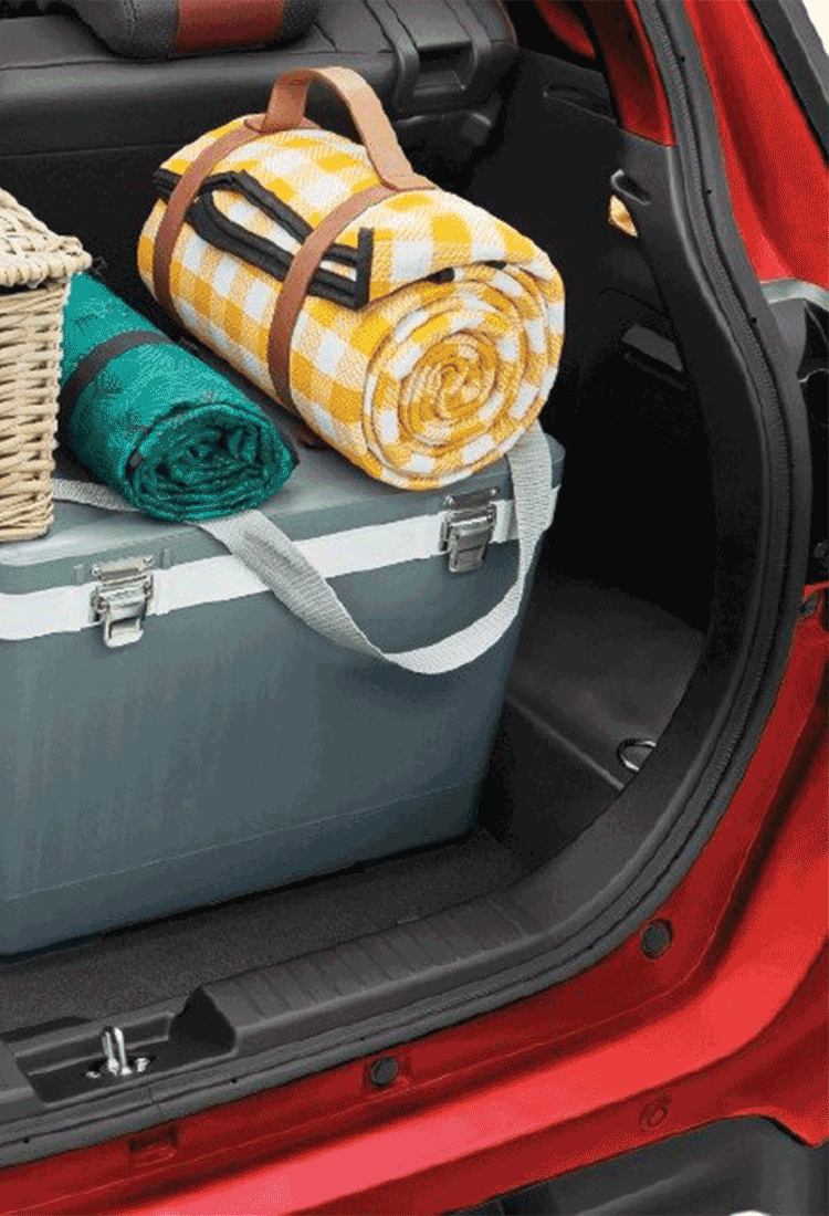 H5N8 Muncul Di Rusia! Bila Virus Selsema Burung Ini Akan Berakhir?