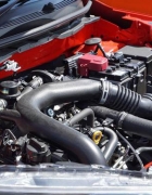 7 Ubat Herba Popular Dunia! #4 Orang Kita Selalu Guna Rupanya