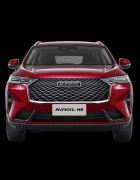 Ivermectin Rawat COVID-19? Baca Fakta Ubat Cacing Untuk Kuda Ini!