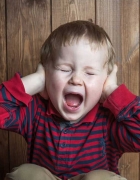 Bunga Kamelia Merah Boleh Melambatkan Penuaan