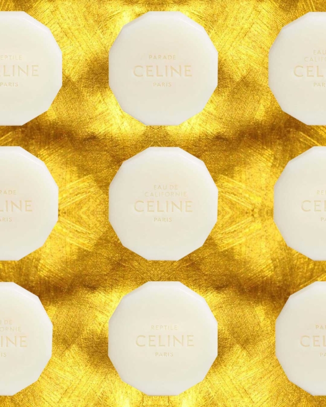 Stailish Sophistication: Sabun Celine Menyuluh dalam Rumah Moden