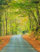 Cha Eun-woo Melangkah Bersama Skechers, The UNO Collection!